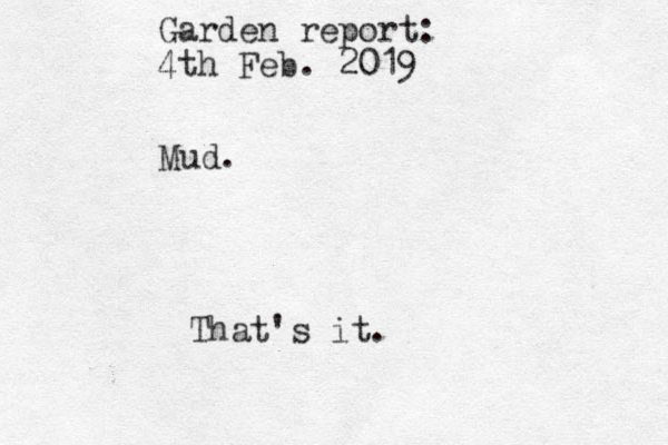 Garden report: 4th Feb. 2019 Mud. That's it.