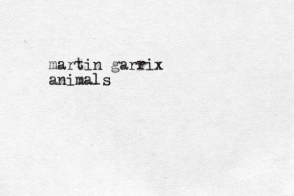 martin garrix animals