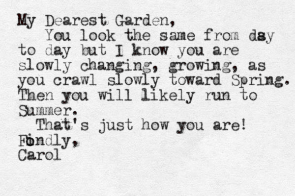 My Dearest Garden, You look the same from dsy a to day but I know you are slowly changing, growing, as you crawl slowly toward Spring. Then you will likely run to Summer. That's just how you are! Findly, Carol o o 