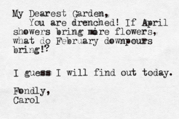 My Dearest Garden, You are drenched! If April showers bring mire flowers, what do February downpours bring! o ? I guess I will find out today. Fondly, Carol