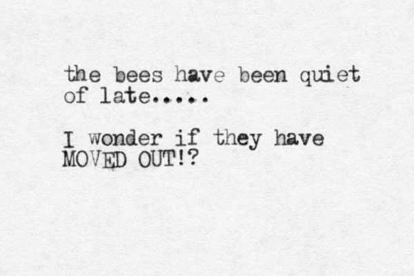 the bees have been quiet of late..... I wonder if they have MOVED OUT!? 
