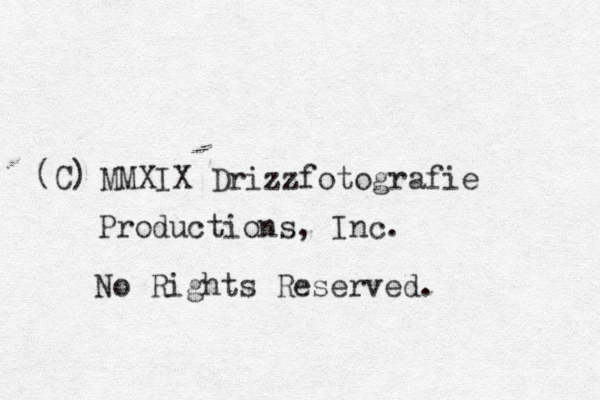 MMXIX Drizzfotografie Productions, Inc. No Rights Reserved. (C) 