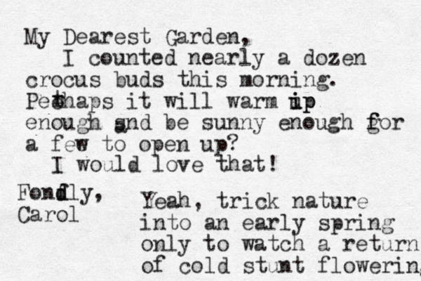 My Dearest Garden, I counted nearly a dozen crocus buds this morning. Peehaps it will warm ip u ip enough snd be sunny enough gor f f a fee w to open up? r t I would love that! Fonf d dly, Carol a Yeah, trick nature into an early spring only to watch a return of cold stunt flowering 