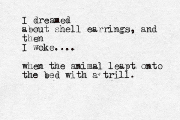 I dreamed about shell earrings, and then I woke.... when the animal leapt onto the bed with a trill. 