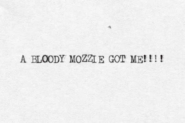 A BLOODY MOZZIE GOT ME!!!! 