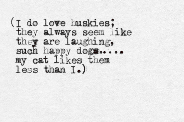 I do ( love huskies; they always seem like they are laughing, such happy dogs. my cat likes them less than I.) .... 