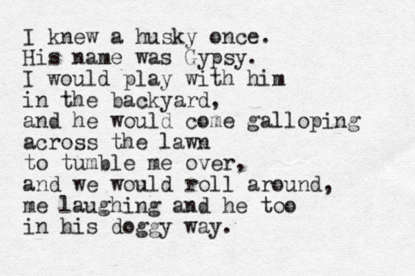 I knew a husky once. His name was Gypsy. I would play with him in the backyard, and he would come galloping across the lawn to tumble me over, and we would roll around, me laughing and he too in his doggy way.