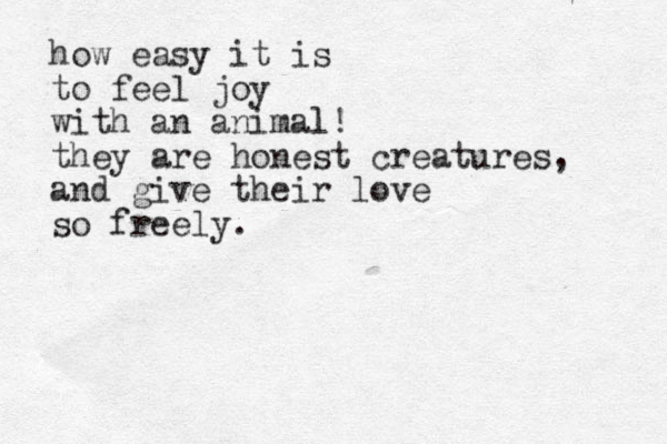 how easy it is to feel joy with an animal l! they are honest creatures, and give their love so freely.