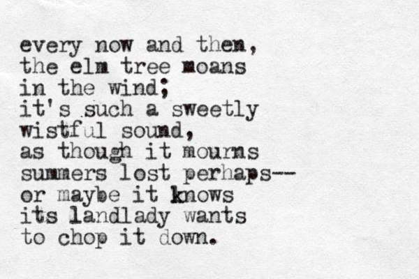 every now and then, the elm tree moans in the wind; it's such a sweetly wistful sound, as though it mourns summers lost perhaps-- or maybe it ln k k ows its land l lady wants to chop it down. 