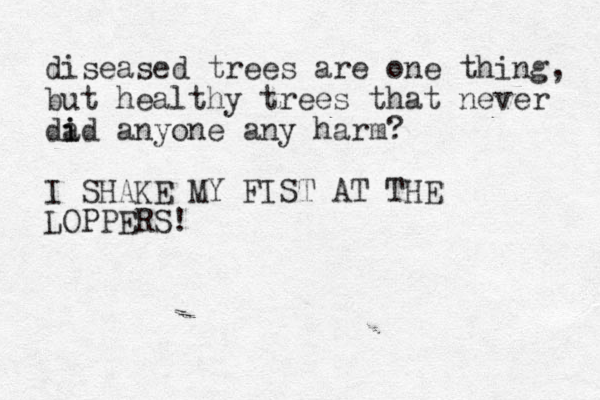 diseased trees are one thing, but healthy trees that never da i id anyone any harm? I SHAKE MY FIST AT THE LOPPERS! 