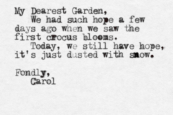 My Dearest Garden, We had such hope a few days ago when we saw the first crocus blooms. Today, we still have hope, it's just dusted with snow. n Fondly, Carol