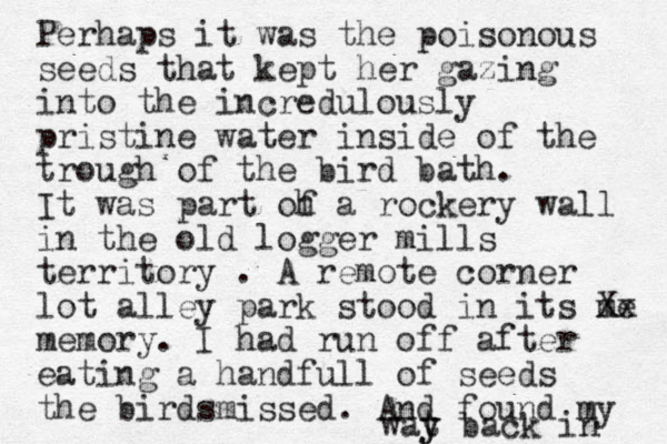 Perhaps it was the poisonous seeds that kept her gazing into the incredulously pristine water inside of the trough of the bird bath. It was part oh f a rockery wall in the old logger mills territory . A remote corner lot alley park stood in its me Xx memory. I had run off after eating a handfull of seeds the birdsmissed. And found my wat y y back in 