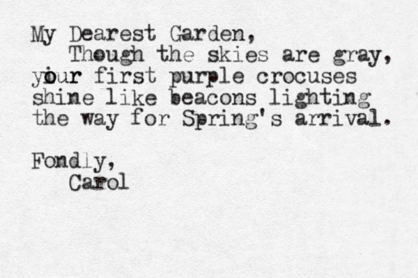My Dearest Garden, Though the skies are gray, yiur first o o our purple crocuses shine like beacons lighting the way for Spring's arrival. Fondly, Carol