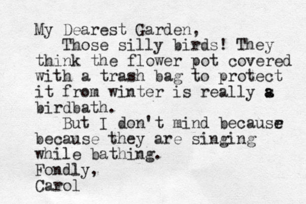 My Dearest Garden, Those silly birds! They think the flower pot covered with a trash bag to protect it from winter is really s a a birdbath. But I don't mind becausr e e because they are singing while bathing. Fondly, Carol