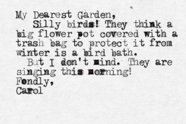 My Dearest Garden, Silly birds! They think a big flower pot covered with a trash bag to protect it from winter is a bird bath. But I don't mind. They are singing this morning! Fondly, Carol