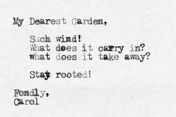 My Dearest Garden, Such wind! What does it carry in? what does it take away? Stat y y rooted! Fondly, Carol
