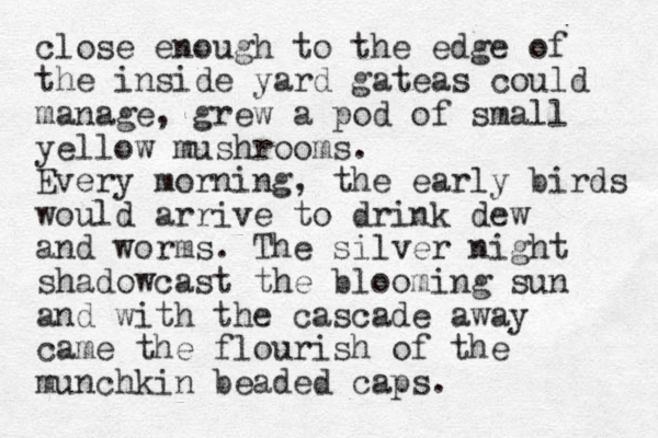 close enough to the edge of the inside yard gateas could manage, grew a pod of small yellow mushrooms. Every morning, the early birds would arrive to drink dew and worms. The silver night shadowcast the blooming sun and with the cascade away came the flourish of the munchkin beaded caps.