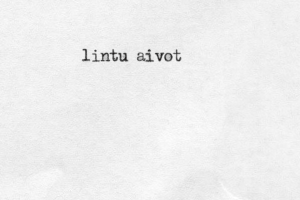 lintu aivot