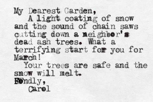 My Dearest Garden, A light coating of snow and the sound of chain saws cutting down a neighbor's dead ash trees. What a terrifying start for you for March! Your trees are safe and the snow will melt. Gondly, FF F Fo Carol