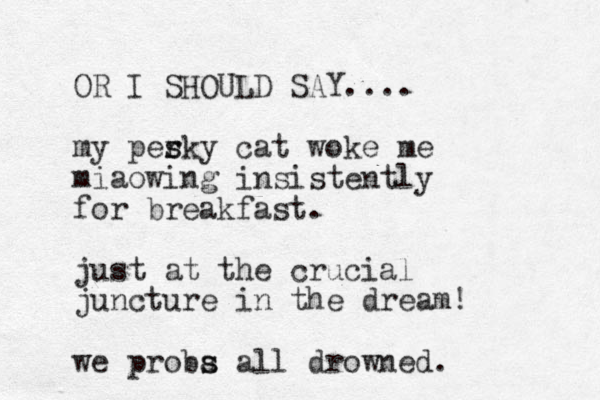 OR I SHOULD SAY.... my per s sky cat woke me miaowing insistently for breakfast. just at the crucial juncture in the dream! we proba all s s drowned. 