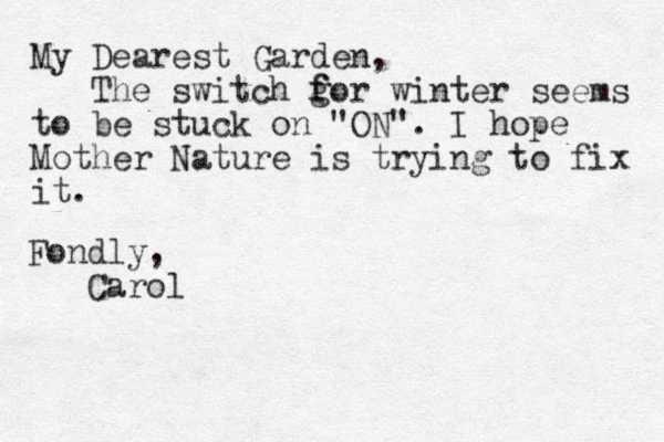 My Dearest Garden, The switch gor winter seems to be stuck on "ON". I hope Mother Nature is trying to fix it. f f Fondly, Carol