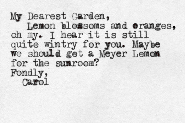 My Dearest Garden, Lemon blossoms and oranges. , oh my. I hear it is still quite wintry for you. Maybe we should get a Meyer Lemon for the sunroom? Fondly, Carol