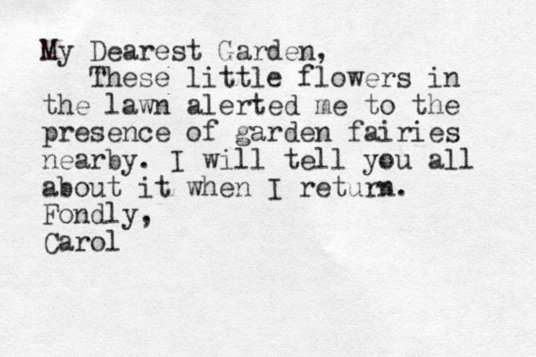 My Dearest Garden, These little flowers in the lawn alerted me to the presence of garden fairies nearby. I will tell you all about it when I return. Fondly, Carol