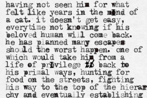 having not seen him for what felt like years in the mon I I d of a cat. it doesn't get easy, everytime not knowing if his beloved human will come back. he has planned many escapes should the worst happen. one of which would take him from a life of provilege I I to :: :/ // back ro t his primal ways , hunting for food on the streets , fighting his way to the top of the hierar chy and eventually establishing 