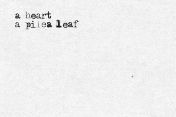 a heart a pilea leaf l 