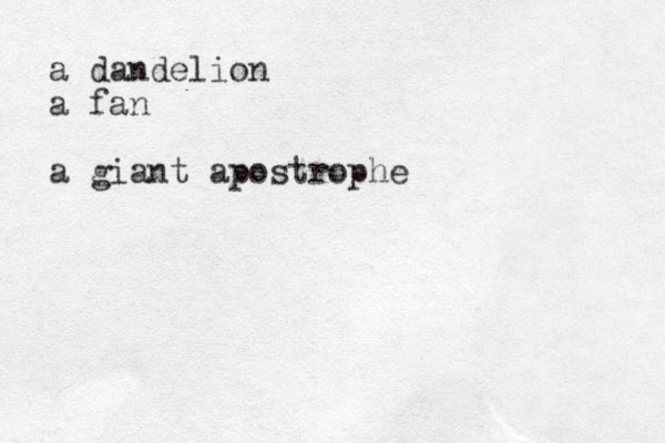 a dandelion a fan a giant apostrophe