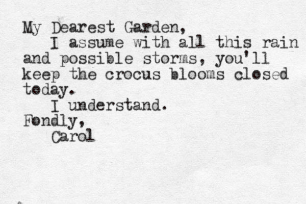 My Dearest Garden, I assume with all this rain and possible storms, you'll keep the crocus blooms closed today. I understand. Fondly, Carol