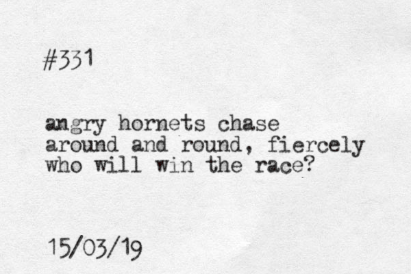 #331 angry hornets chase around and round, fiercely who will win the race? 15/03/19