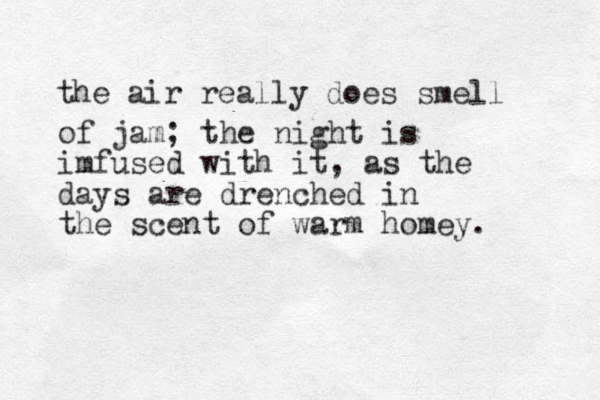 the air really does smell of jam; the night is imfused with it, as the days are drenched i n the scent of warm homey. 