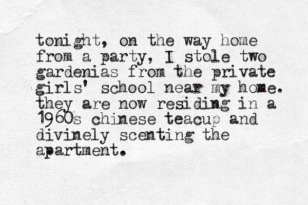 tonight, on the way home from a party, I stole two gardenias from the private girls' school ea n r my home. they are now residing in a 1960s chinese teacup and divinely scenting the apartment. 