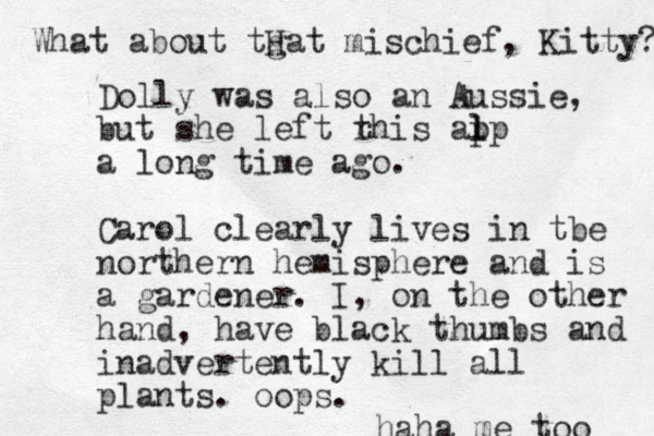 Dolly was also an Aussie, but she left rhis alp p l t a long time ago. Carol clearly lives in tbe northern hemisphere and is a gardener. I, on the other hand, have black thumbs and inadvertently kill all plants. oops. haha me too What about tgat H mischief, Kitty? 