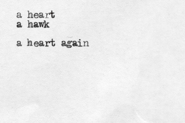 a heart a hawk a heart again