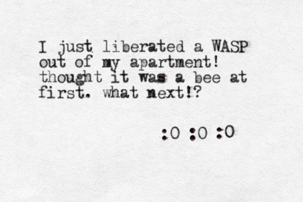 I just liberated a WASP out of my apartment! thought it was a bee at first. what next!? :0 :0 :0 