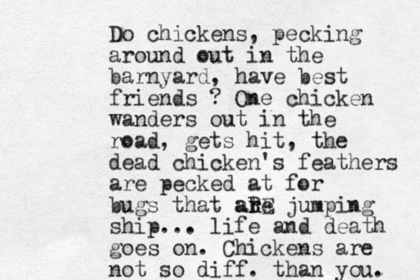 Do chickens, pecking around out in the barnyard , have best friends ? One chicken wanders out in the road, gets hit, the dead chicken 's feathers are pecked at for bugs that at r re aRE jumping ship... life and death goes on. Chickens are not so diff. than you. 