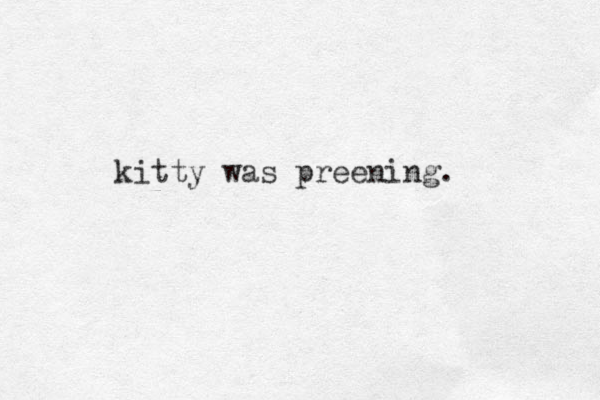 kitty was preening. 