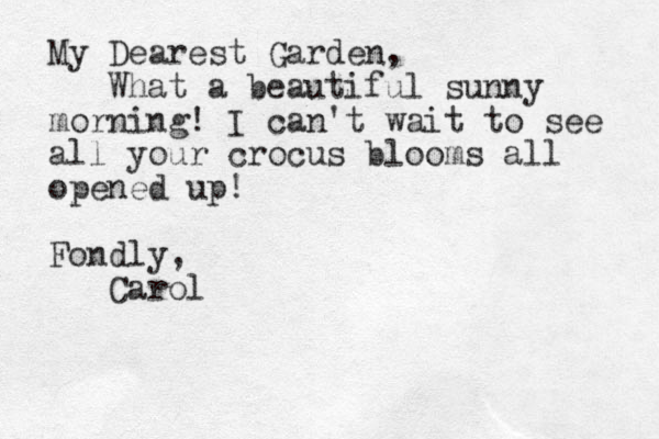 My Dearest Garden, What a beautiful sunny morning! I can't wait to see all your crocus blooms all opened up! Fondly, Carol