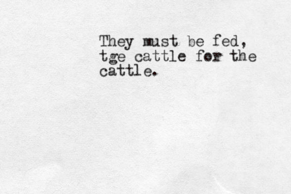 They must be fed, tge cattle for the cattle.