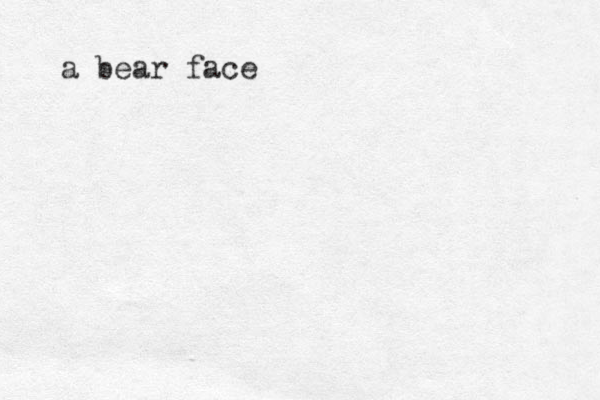 a bear face