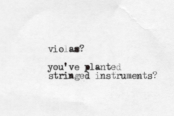 violas? you've planted stringed instruments? 