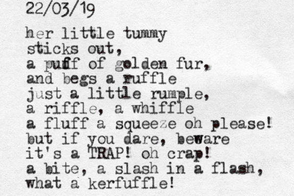 her little tummy sticks out, a pud ff f of golden fur, a nd begs a ruffle just a little rumple, a riffle, a whiffle a fluff a squeeze oh please! but if you dare, beeare w w it's a TRAP! oh crap! a bite, a slash in a flash, what a kerfuffle! 22/03/19 