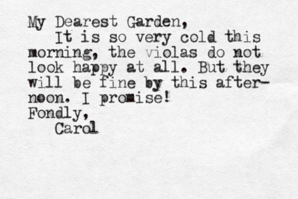My Dearest Garden, It is so very cold this morning, the violas do not look happy at all. But they will be fine by this after- noon. I promise! Fondly, Carol