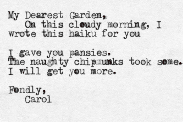 My Dearest Garden, On this cloudy morning, I wrote this haiku for you I gave you pansies. The naughty chipmunks took some. I will get you more. Fondly, Carol