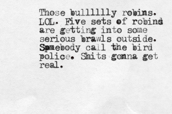 Those bulllllly robins. LOL. Five sets of robind s are getting into some serious brawls outside. Spme Somebody call the bird police. Shits gonna get real.