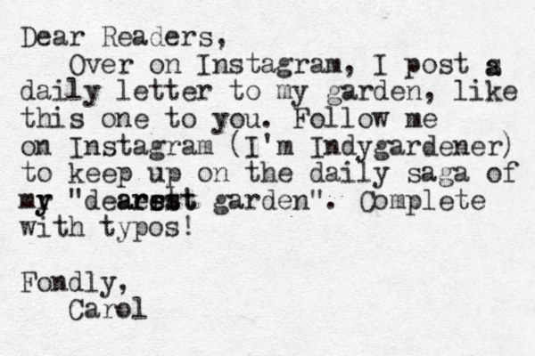 Dear Readers, Over on Instagram, I post s daily letter to my garden, like this one to you. Follow me on Instagram (I'm Indygardener) to keep up on the daily saga of mr y y "deaer st arest rest garden". Complete with typos! Fondly, Carol a a 