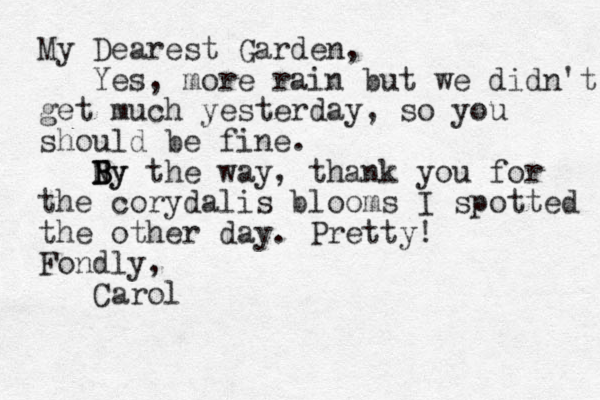 My Dearest Garden, Yes, more rain but we didn't get much yesterday, so you should be fine. Ny B B By the way, thank you for the corydalis blooms I spotted the other day. Pretty! Fondly, Carol