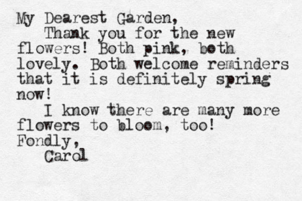 My Dearest Garden, Thank you for the new flowers! Both pink, both lovely. Both welcome reminders that it is definitely spring now! I know there are many more flowers to bloom, too! Fondly, Carol